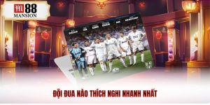 đội đua nào thích nghi nhanh nhất